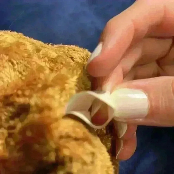 1999 Fuzz the bear, Ty beanie baby, with errors - Picture 7 of 7